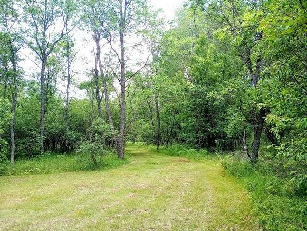 10 Acres of Recreational & Residential Land for Sale in Fife Lake, Michigan