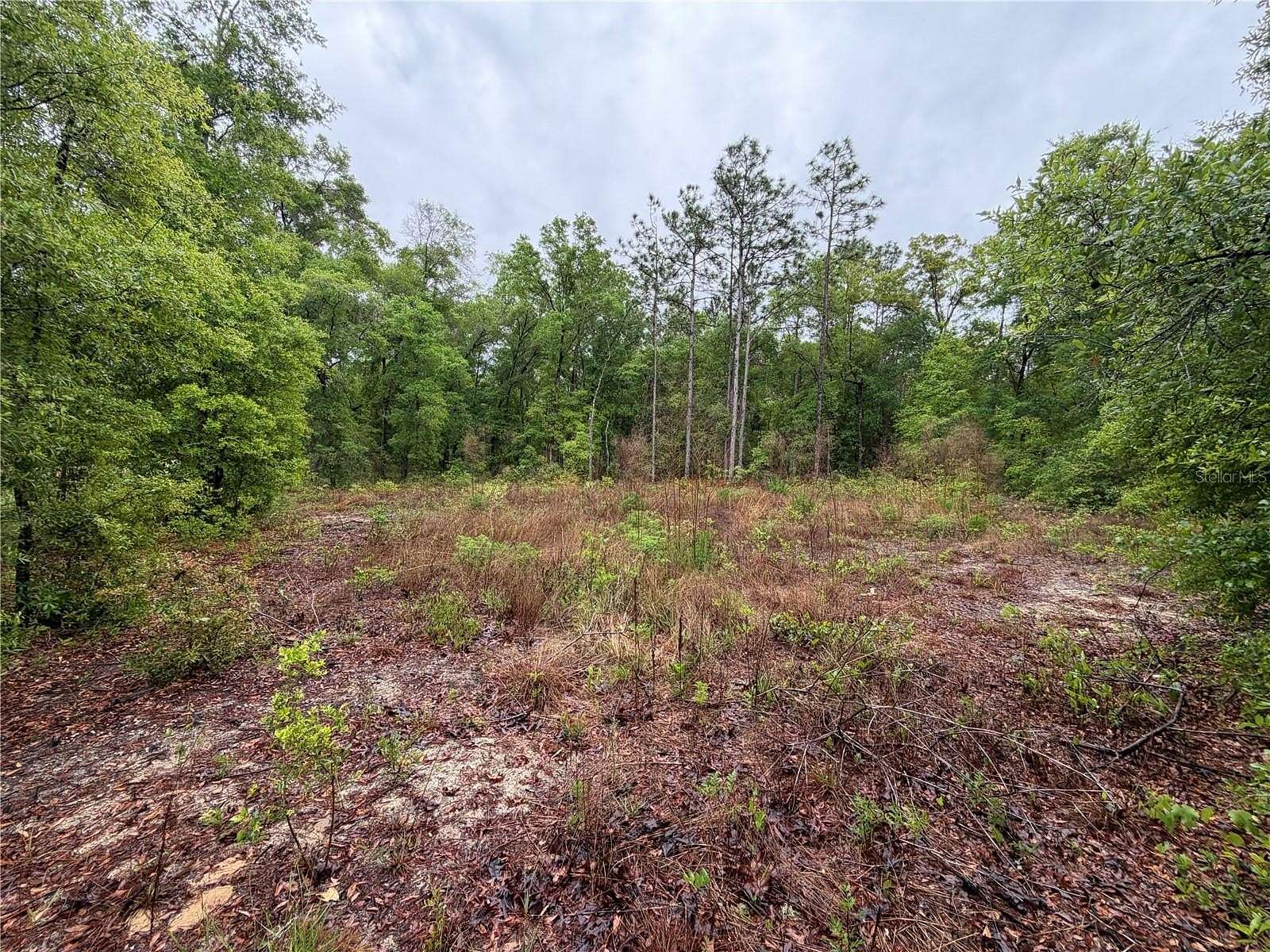 0.26 Acres of Residential Land for Sale in Hawthorne, Florida