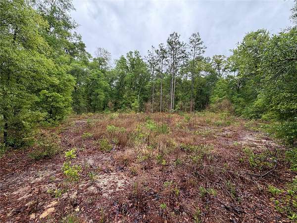 0.26 Acres of Residential Land for Sale in Hawthorne, Florida