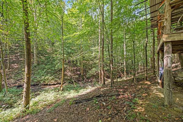 17 Acres of Land for Sale in Gainesboro, Tennessee