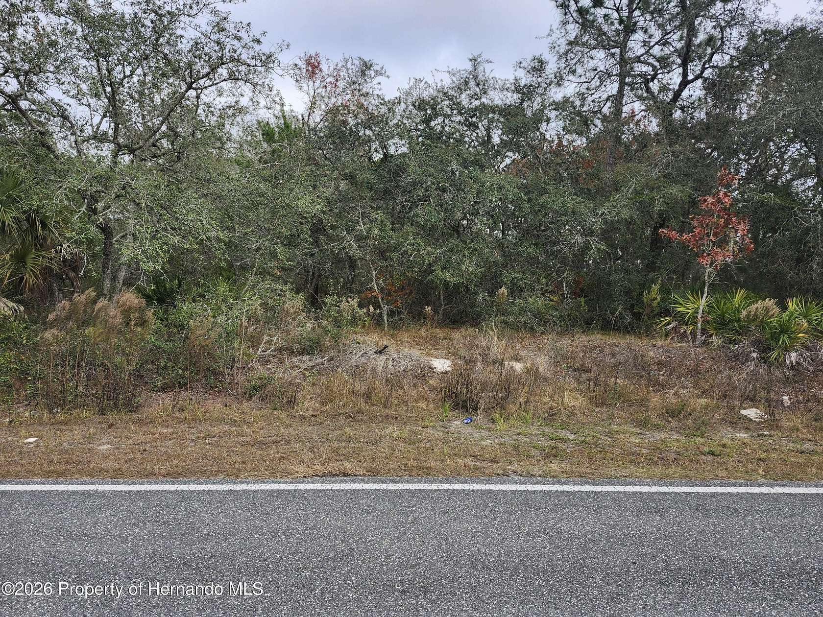 0.46 Acres of Residential Land for Sale in Brooksville, Florida