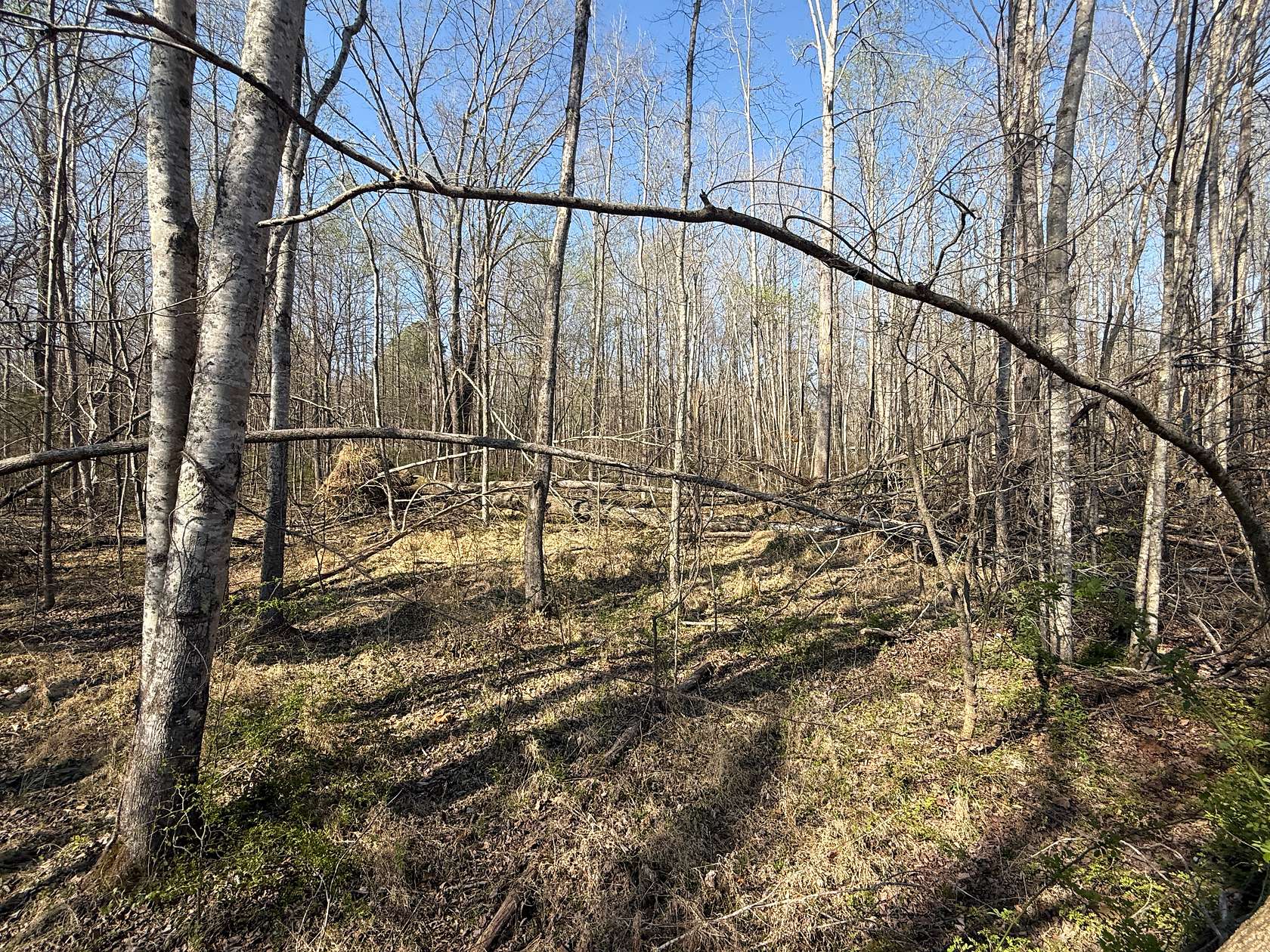 0.24 Acres of Residential Land for Sale in Murray, Kentucky