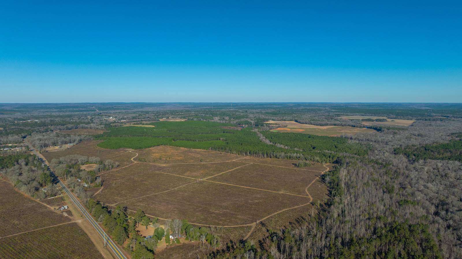 167 Acres of Land for Sale in Preston, Georgia