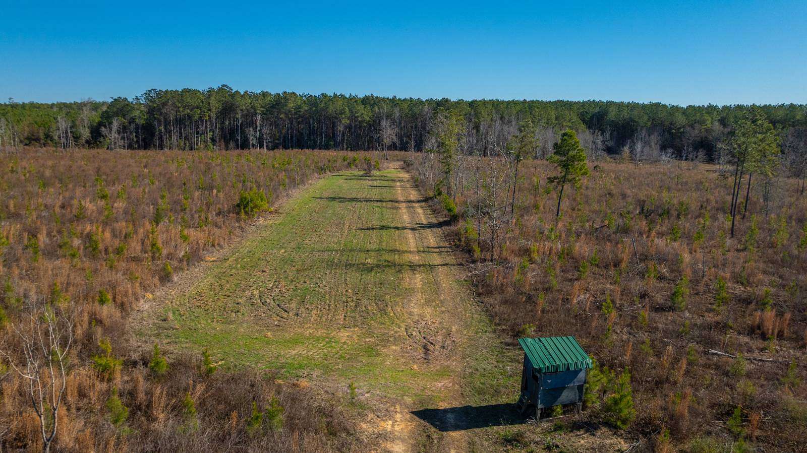 167 Acres of Land for Sale in Preston, Georgia