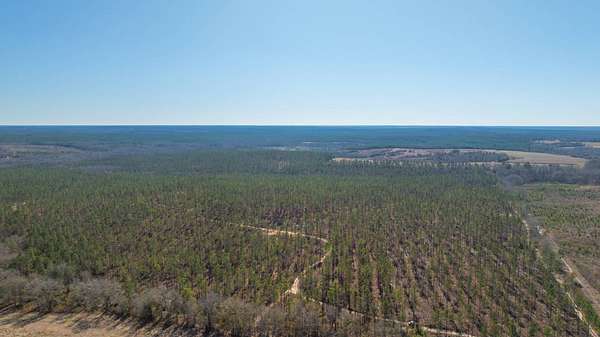 450 Acres of Land for Sale in Buena Vista, Georgia