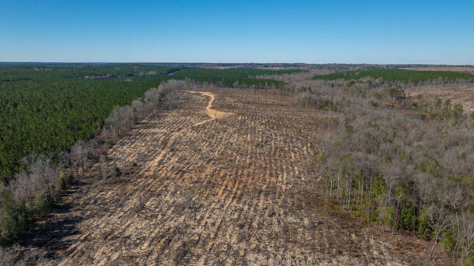 242 Acres of Land for Sale in Buena Vista, Georgia