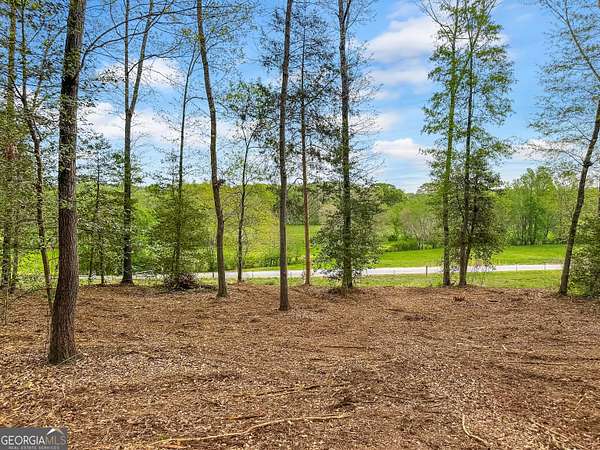 11.5 Acres of Land for Sale in Eastanollee, Georgia