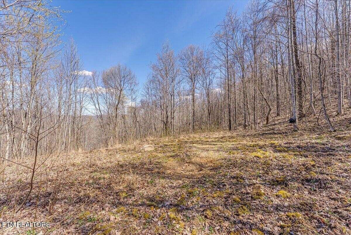 20.7 Acres of Land for Sale in Huntsville, Tennessee