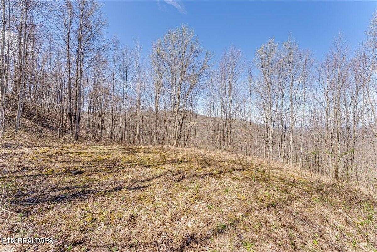 20.7 Acres of Land for Sale in Huntsville, Tennessee