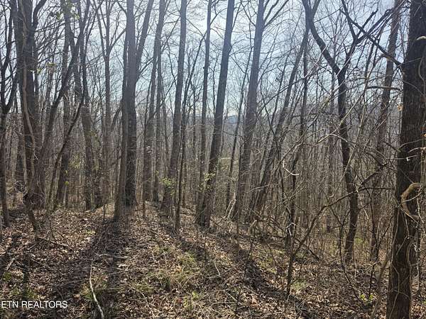 5.2 Acres of Residential Land for Sale in Jamestown, Tennessee