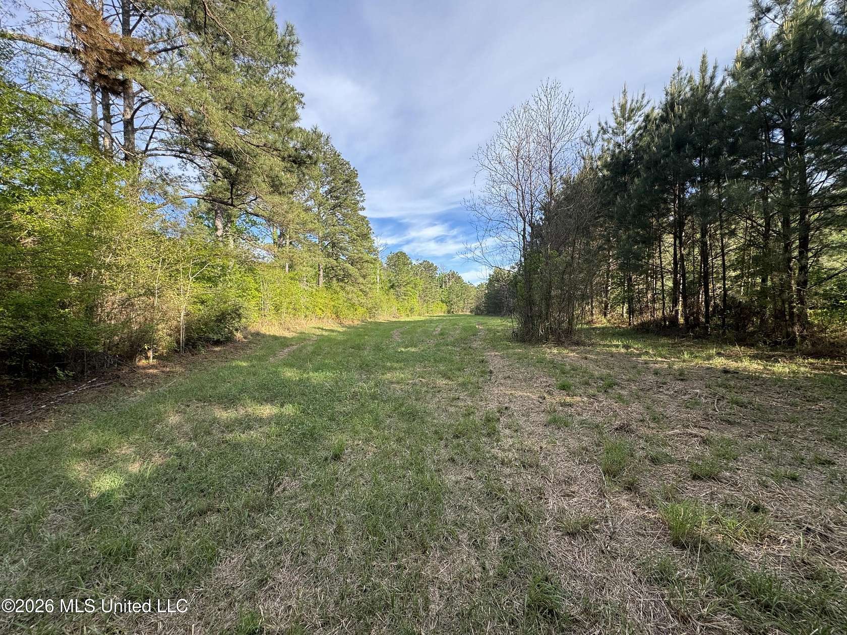 28.8 Acres of Land for Sale in Brookhaven, Mississippi