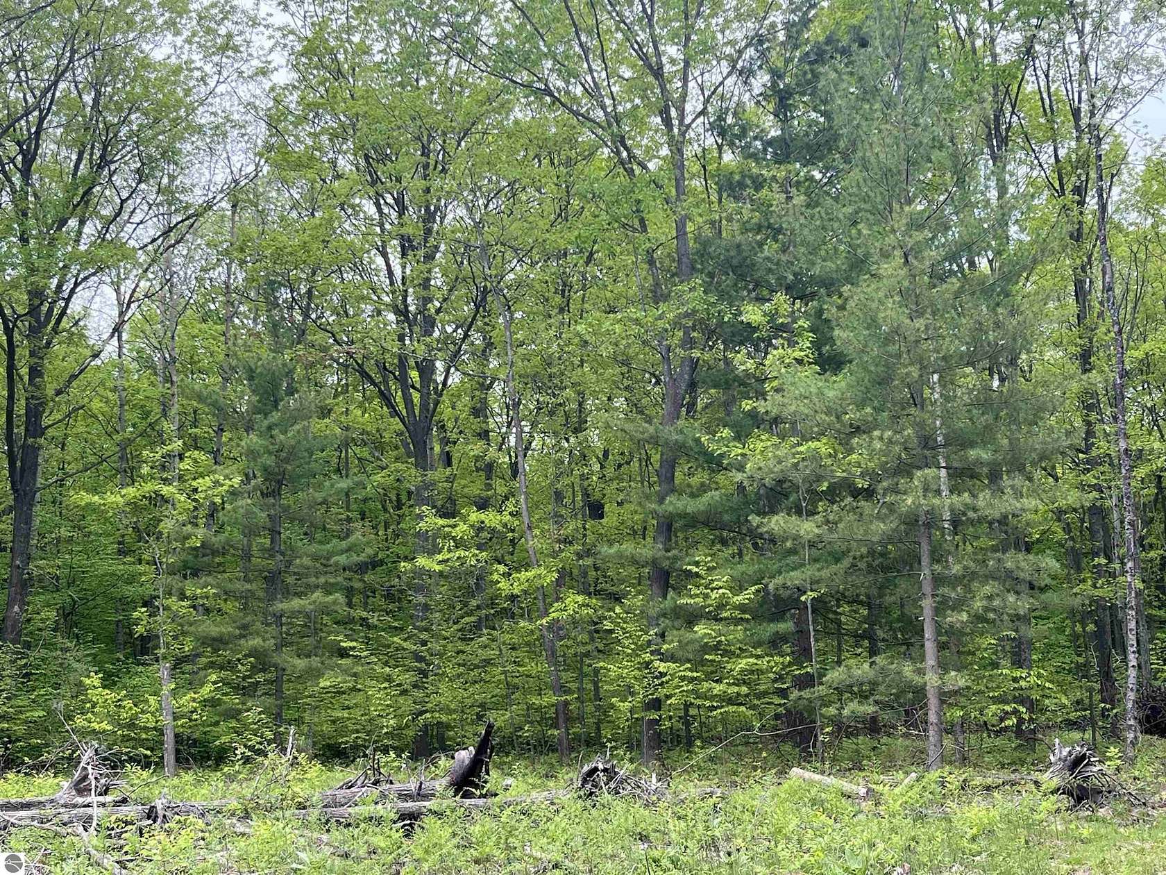 2.82 Acres of Land for Sale in Traverse City, Michigan