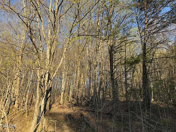1.14 Acres of Residential Land for Sale in Johnson City, Tennessee