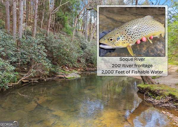 2 Acres of Residential Land for Sale in Clarkesville, Georgia