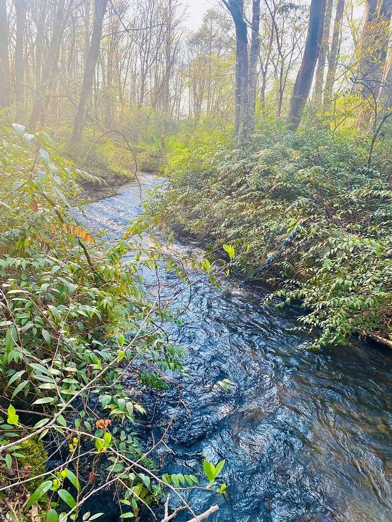 Residential Land for Sale in Robbinsville, North Carolina