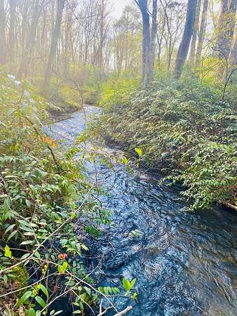 2.1 Acres of Residential Land for Sale in Robbinsville, North Carolina