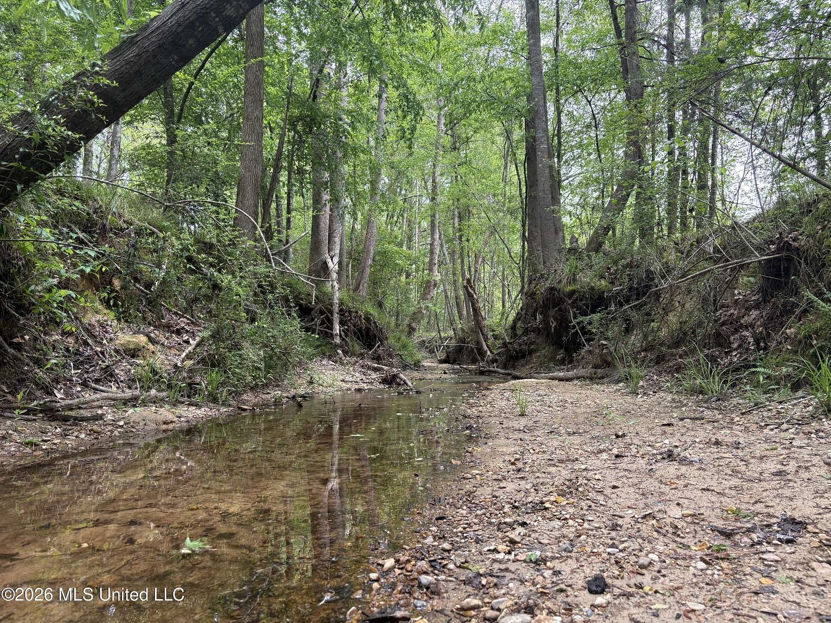 16.3 Acres of Recreational Land for Sale in Brookhaven, Mississippi