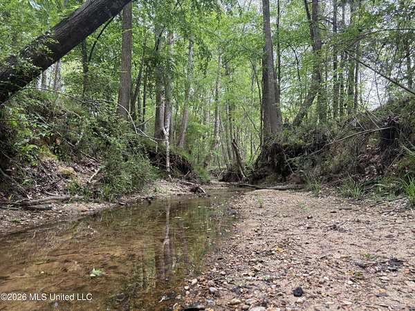 16.3 Acres of Recreational Land for Sale in Brookhaven, Mississippi