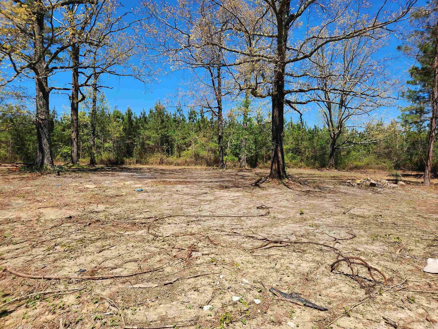 40 Acres of Recreational & Residential Land for Sale in Pine Bluff, Arkansas