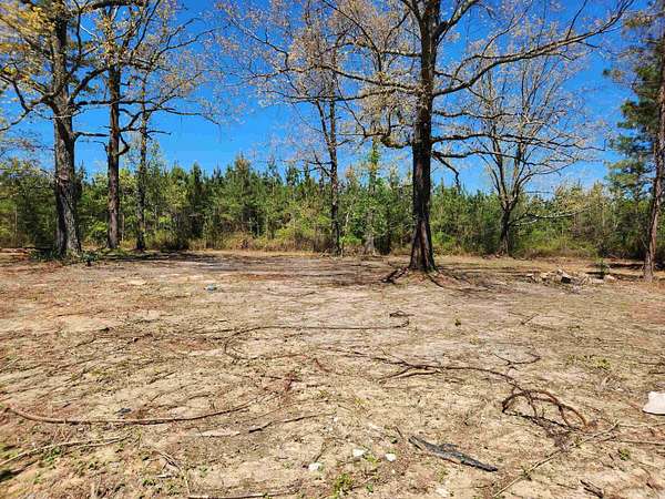 40 Acres of Recreational & Residential Land for Sale in Pine Bluff, Arkansas