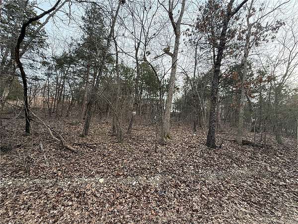 0.34 Acres of Land for Sale in Diamond City, Arkansas
