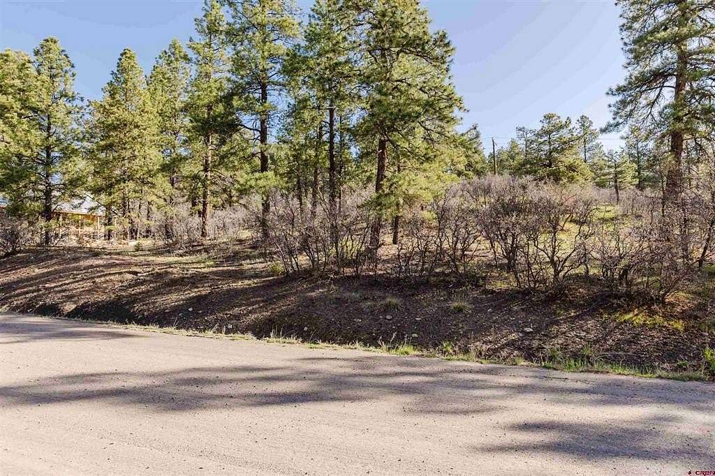 0.22 Acres of Residential Land for Sale in Pagosa Springs, Colorado