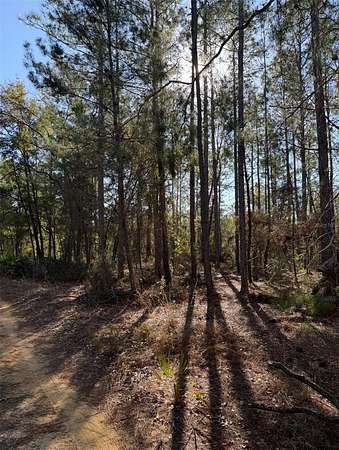 0.31 Acres of Residential Land for Sale in Interlachen, Florida