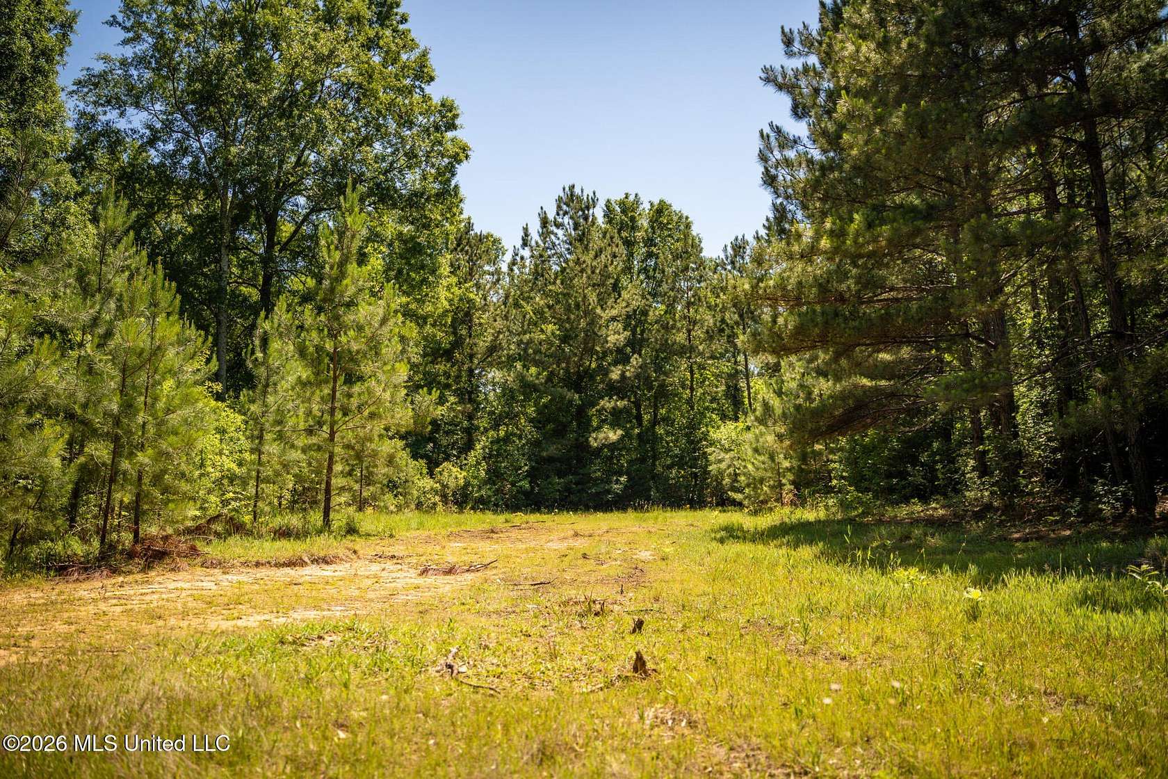 23.3 Acres of Land for Sale in Brookhaven, Mississippi