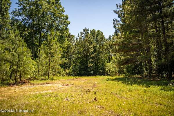 23.3 Acres of Land for Sale in Brookhaven, Mississippi