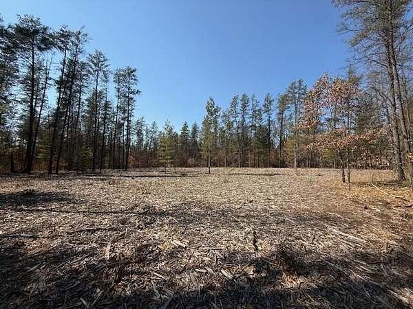 5 Acres of Land for Sale in Idlewild, Michigan