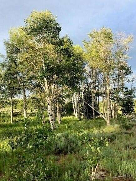 1 Acre of Residential Land for Sale in Kanarraville, Utah