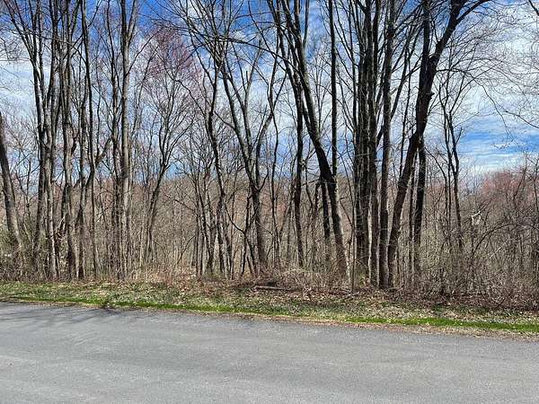 1.3 Acres of Land for Auction in La Grange Town, New York
