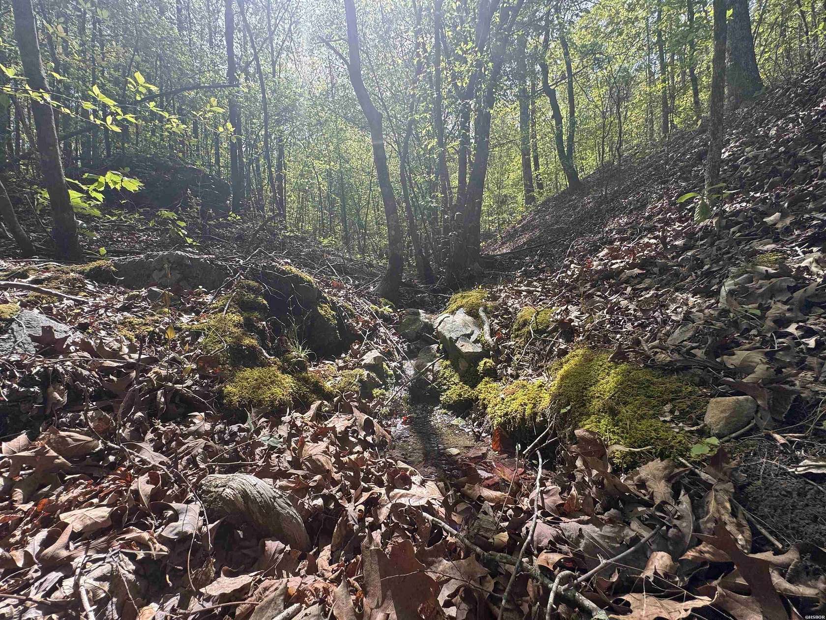 5.6 Acres of Residential Land for Sale in Hot Springs, Arkansas