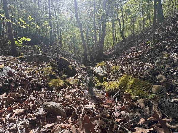 5.6 Acres of Residential Land for Sale in Hot Springs, Arkansas