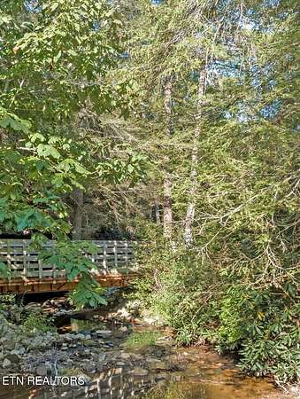 167 Acres of Recreational & Residential Land for Sale in Jamestown, Tennessee