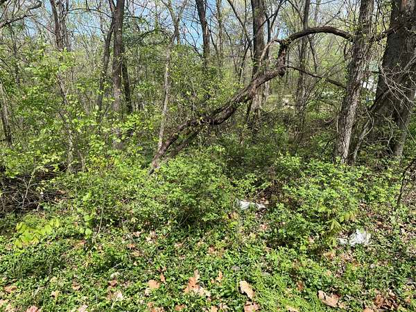 0.41 Acres of Residential Land for Sale in Langley, Oklahoma