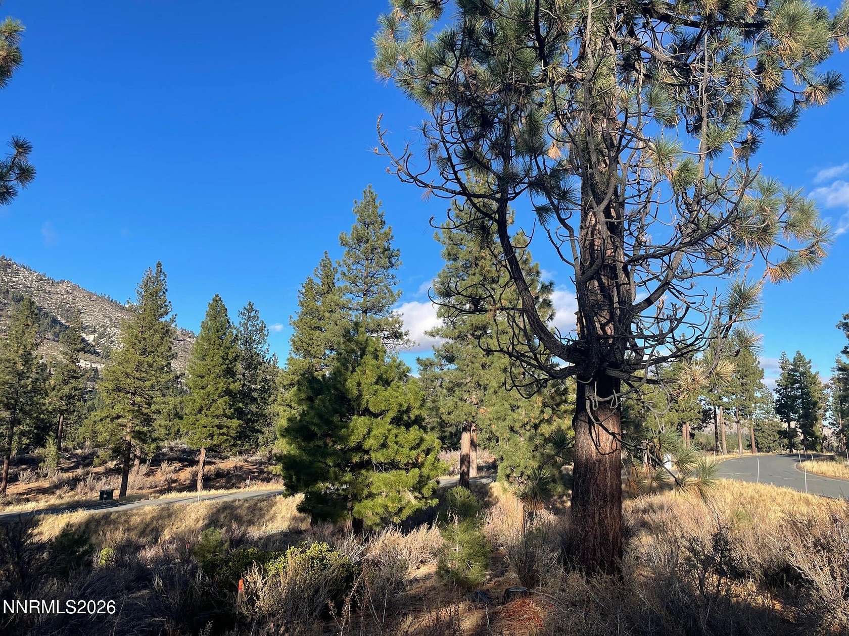1.5 Acres of Residential Land for Sale in Carson City, Nevada