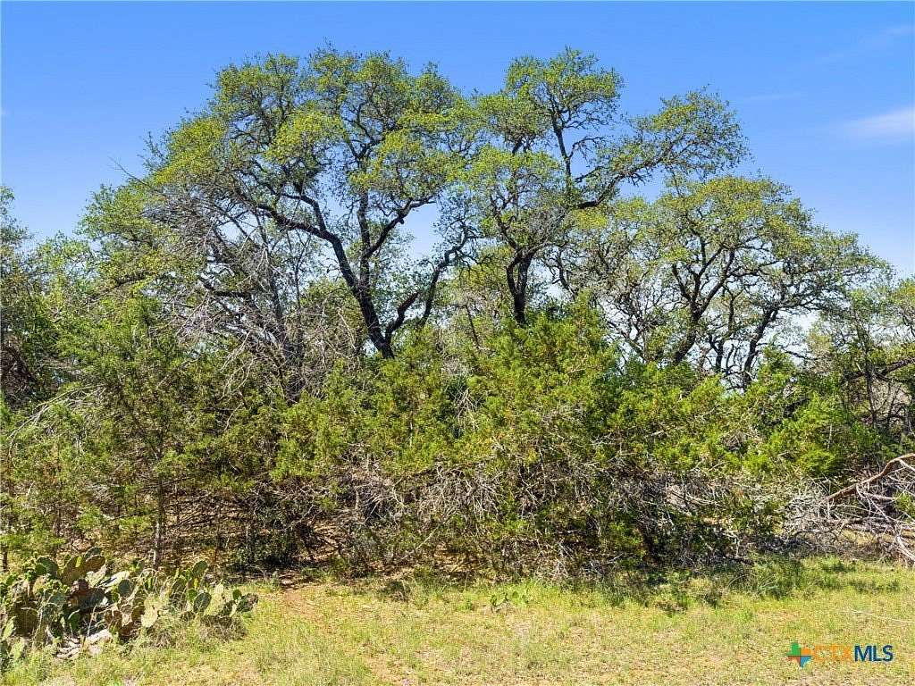 0.5 Acres of Residential Land for Sale in Spring Branch, Texas