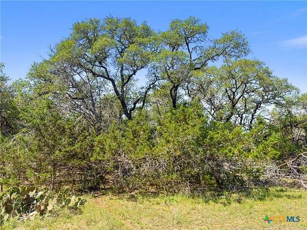 0.5 Acres of Residential Land for Sale in Spring Branch, Texas