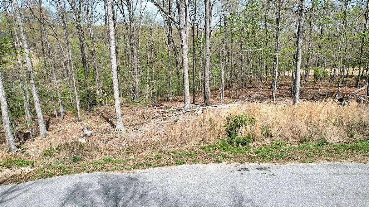 0.28 Acres of Residential Land for Sale in Bella Vista, Arkansas