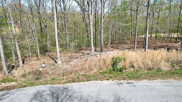 0.28 Acres of Residential Land for Sale in Bella Vista, Arkansas