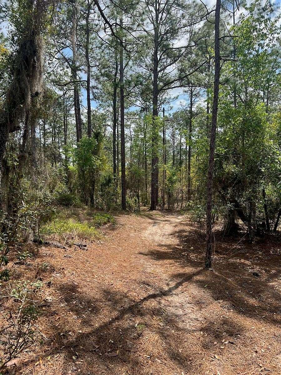 11.3 Acres of Land for Sale in Williston, Florida