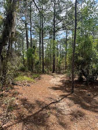 11.3 Acres of Land for Sale in Williston, Florida
