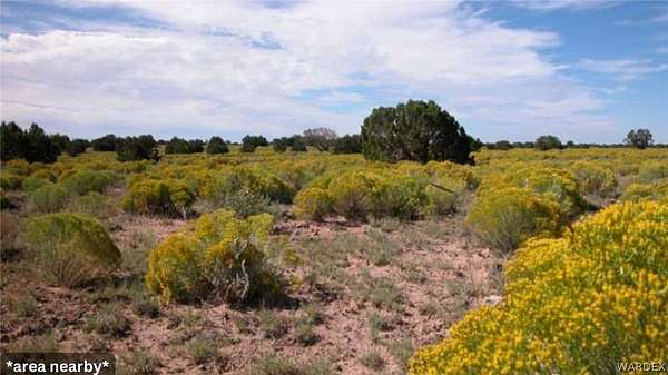 5 Acres of Residential Land for Sale in Meadview, Arizona