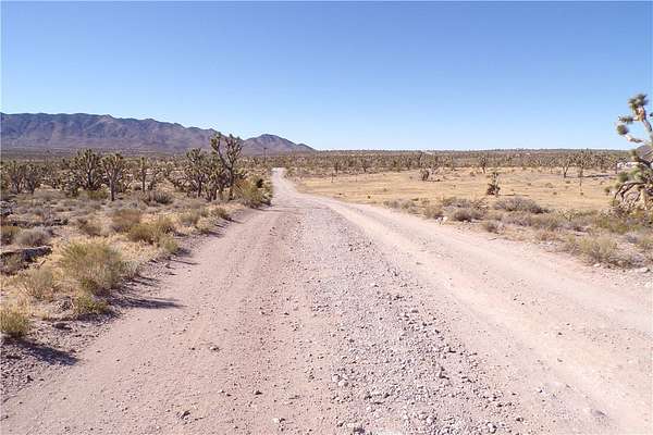 1 Acre of Residential Land for Sale in Dolan Springs, Arizona
