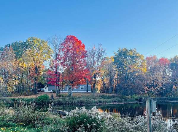 20.5 Acres of Recreational Land with Home for Sale in Reed City, Michigan