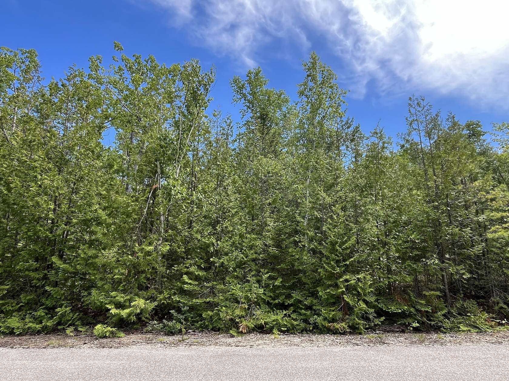 0.72 Acres of Residential Land for Sale in Presque Isle, Michigan