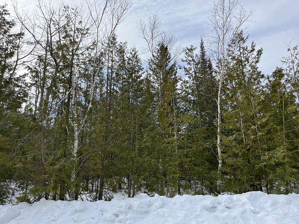0.72 Acres of Residential Land for Sale in Presque Isle, Michigan