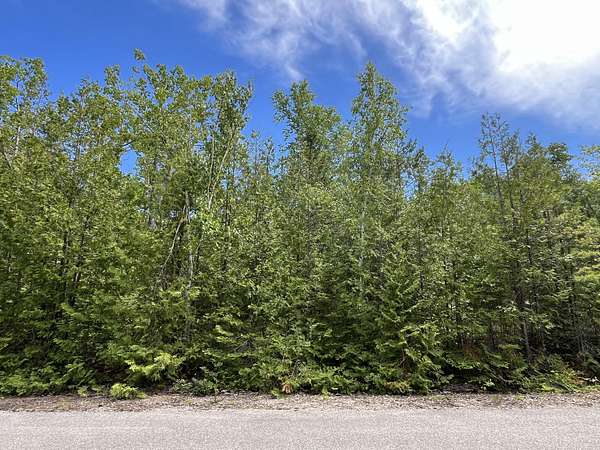 0.72 Acres of Residential Land for Sale in Presque Isle, Michigan