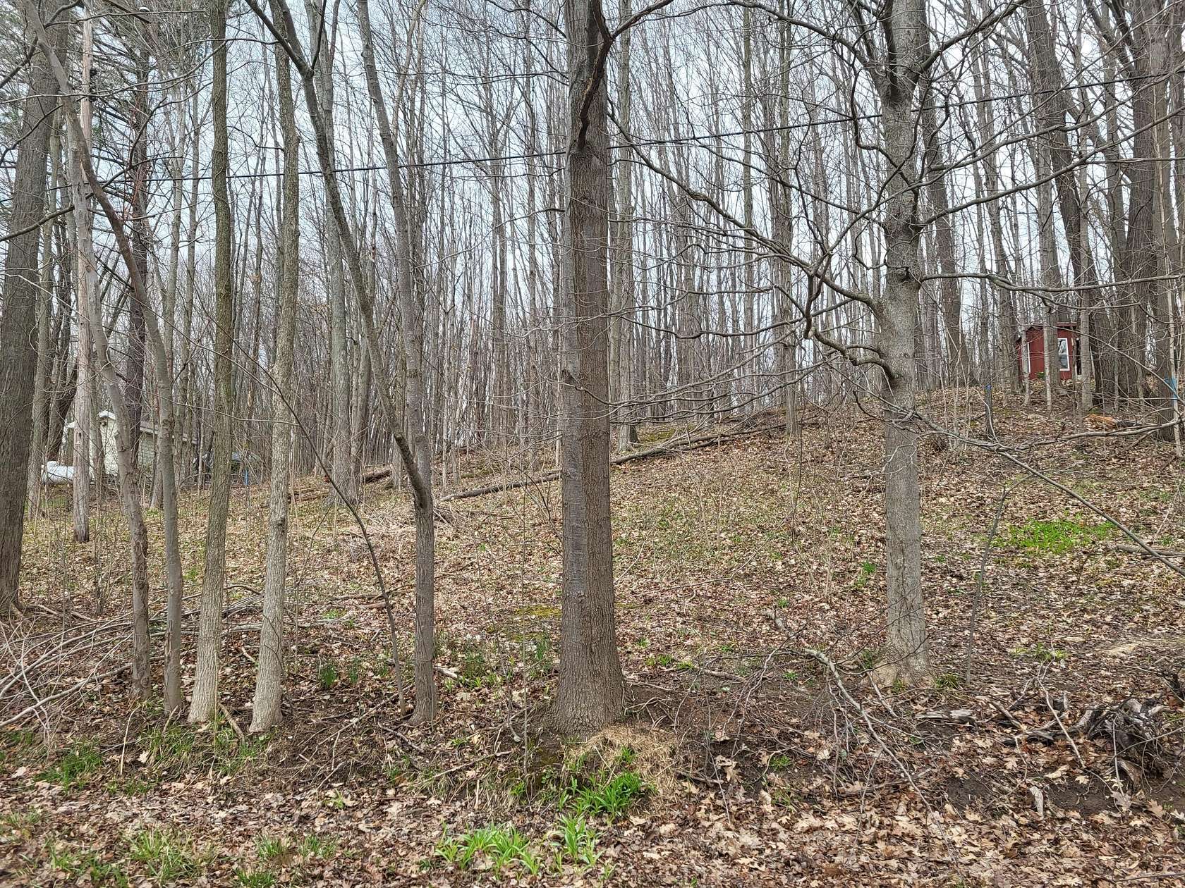 0.21 Acres of Land for Sale in Gobles, Michigan